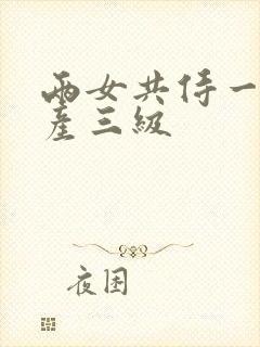 两女共侍一夫国产三级