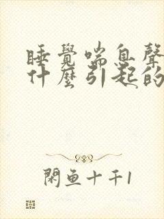 睡觉喘息声大是什么引起的