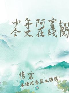 少年阿宾txt全文在线阅读