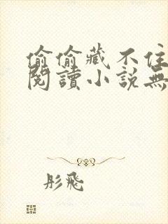 偷偷藏不住免费阅读小说无删减版