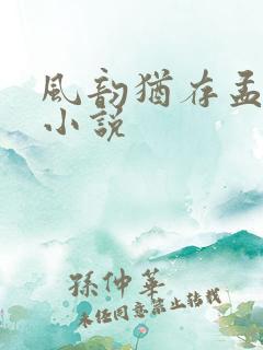 风韵犹存孟浪的小说