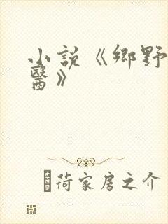 小说《乡野小神医》