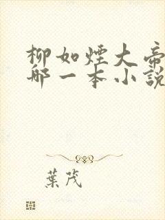柳如烟大帝出自哪一本小说