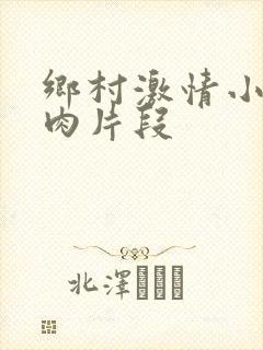 乡村激情小说肉肉片段