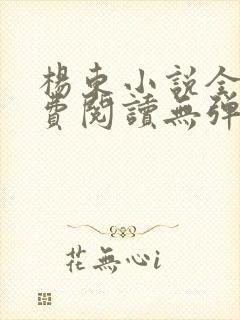 杨东小说全文免费阅读无弹窗
