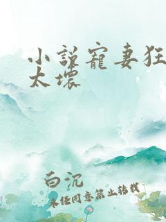 小说宠妻狂魔别太坏