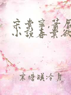 宋棠宁,萧厌的小说春棠欲醉