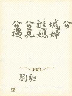 公公进城公交车遇见媳妇