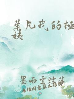 叶凡我的极品小姨