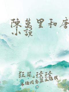 陈万里和唐嫣然小说