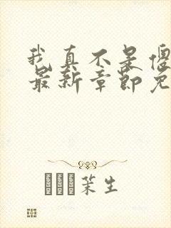 我真不是傻子了最新章节免费阅读