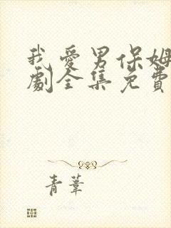 我爱男保姆电视剧全集免费