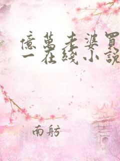 亿万老婆买一送一在线小说