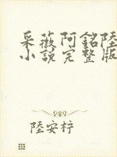 采薇阿铭陆三平小说完整版