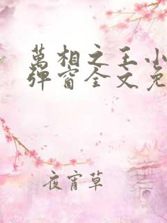 万相之王小说无弹窗全文免费阅读