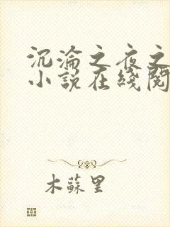 沉沦之夜之夏婉小说在线阅读