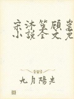 宋沐笙顾崇锦的小说全文免费阅读