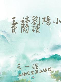 王婷刘阳小说免费阅读