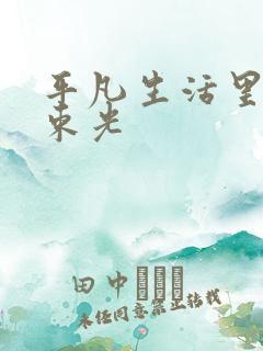 平凡生活里的一束光