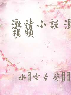 激情小说 激情视频