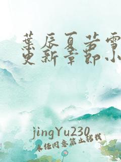叶辰夏若雪最新更新章节小说免费阅读