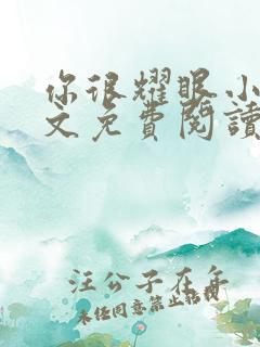 你很耀眼小说全文免费阅读
