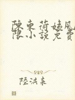 陈东荷姨风情无限小说免费阅读