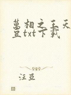 万相之王天蚕土豆txt下载