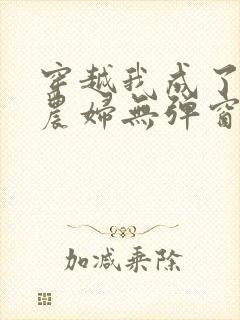 穿越我成了已婚农妇无弹窗