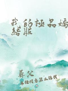 我的极品娇妻完结版