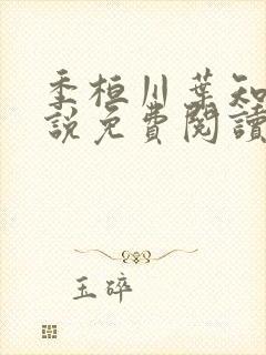 季桓川叶知意小说免费阅读最新章节