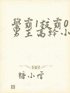 学霸1校霸0双男主高干小说下载