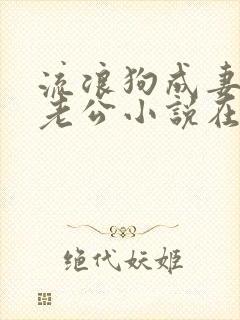 流浪狗成妻子的老公小说在线阅读