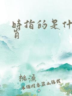 时指的是什么生肖