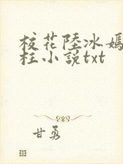校花陆冰嫣陈宝柱小说txt