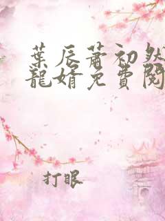 叶辰萧初然上门龙婿免费阅读