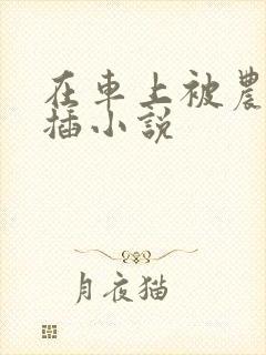 在车上被农民工插小说