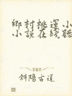 乡村桃运小神医小说在线听书网