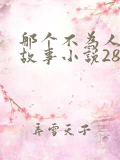 那个不为人知的故事小说28章免费阅读