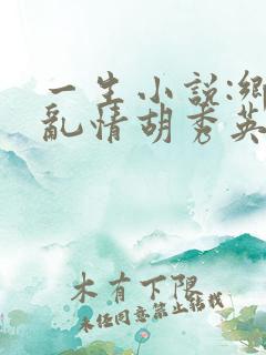 一生小说:乡村乱情胡秀英