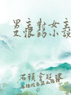 男主对女主又爱又恨的小说