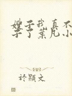 嫂子我真不是傻子了叶凡小说正版