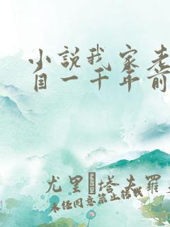 小说我家老婆来自一千年前全文下载