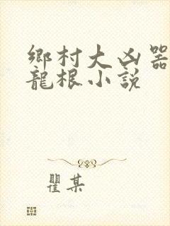 乡村大凶器傻子龙根小说