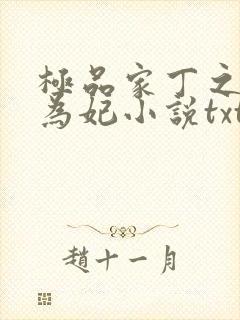 极品家丁之册母为妃小说txt林宣
