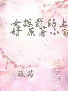 女总裁的上门女婿 原著小说