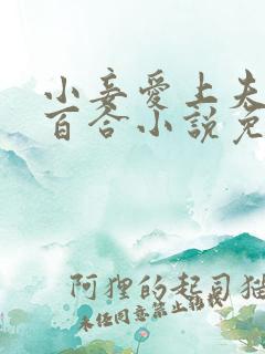 小妾爱上夫人的百合小说免费阅读