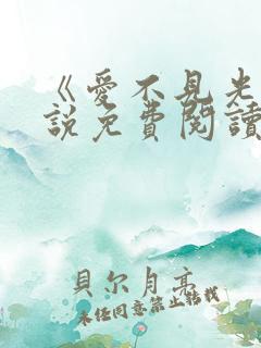 《爱不见光》小说免费阅读全文