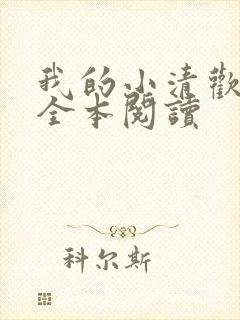 我的小清欢在线全本阅读