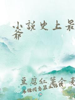 小说史上最狂姑爷
